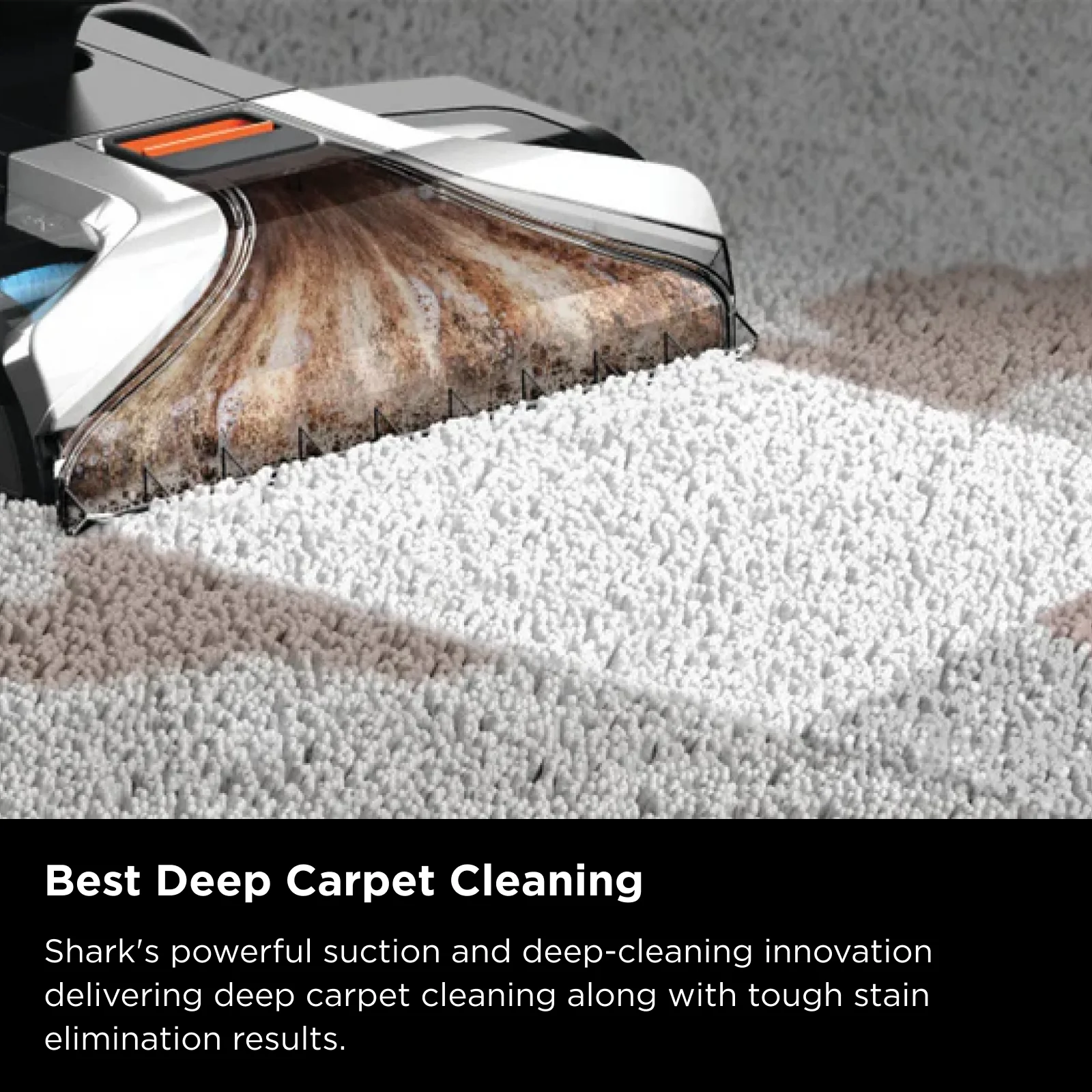 Shark CarpetXpert Deep Carpet Cleaner with Built-In StainStriker - Image 3
