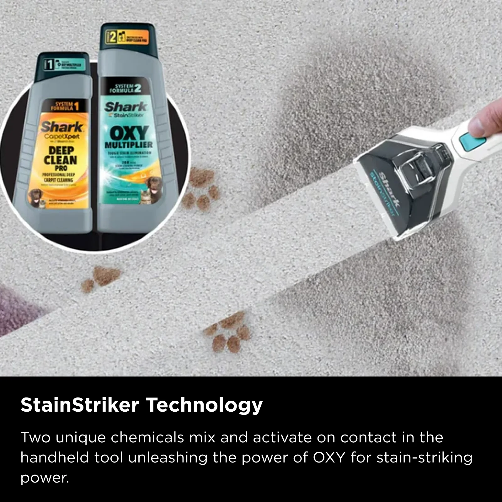 Shark CarpetXpert Deep Carpet Cleaner with Built-In StainStriker - Image 5