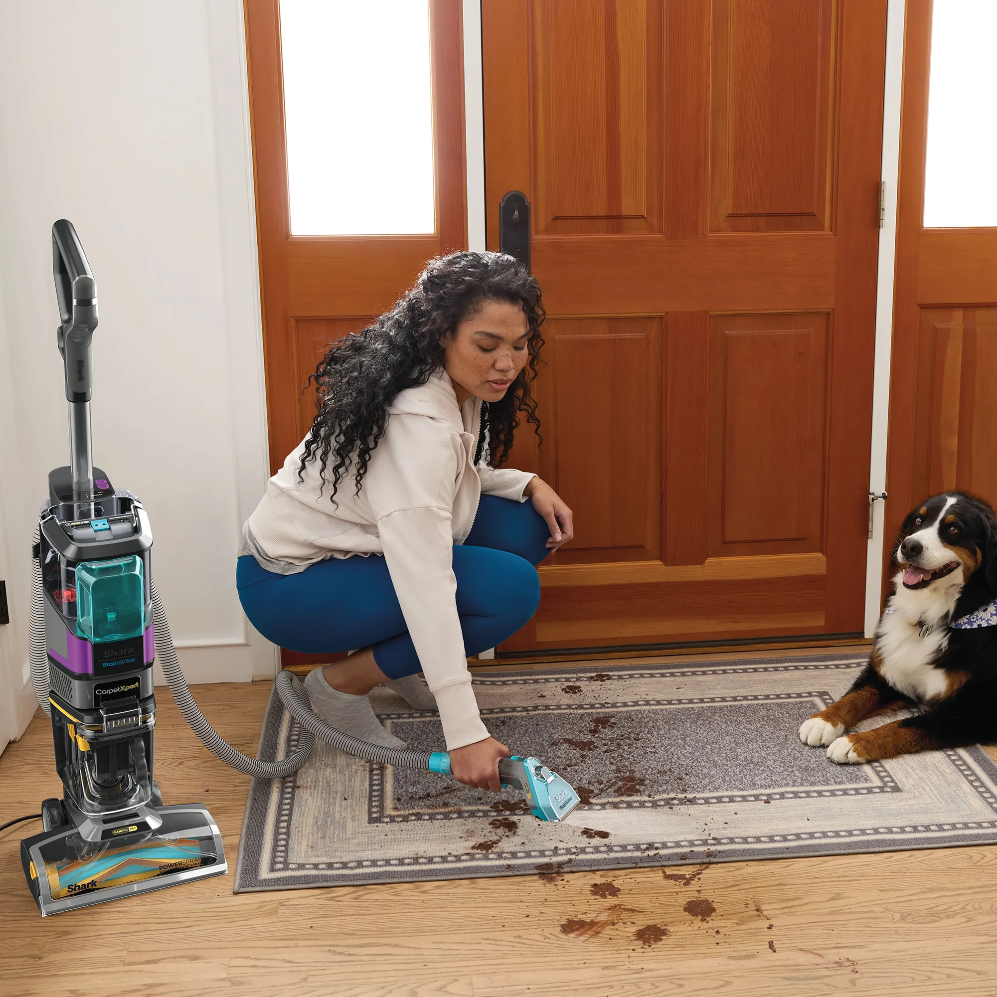 Shark CarpetXpert HairPro Pet with StainStriker - Image 5