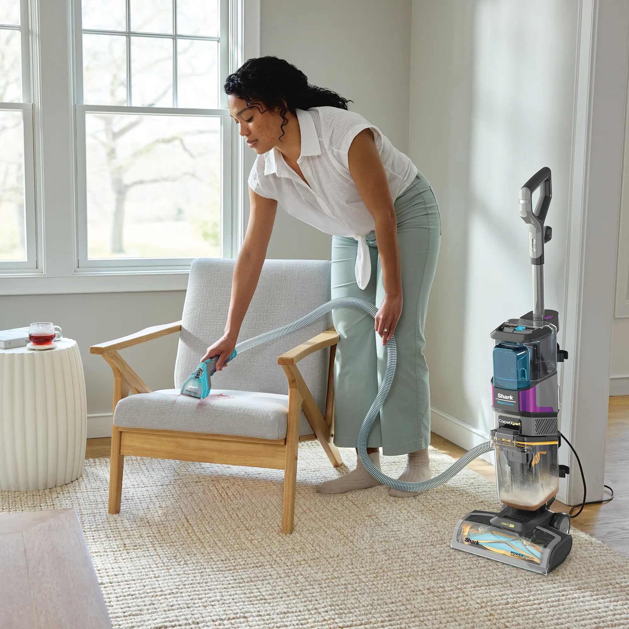 Shark CarpetXpert HairPro Pet with StainStriker - Image 8