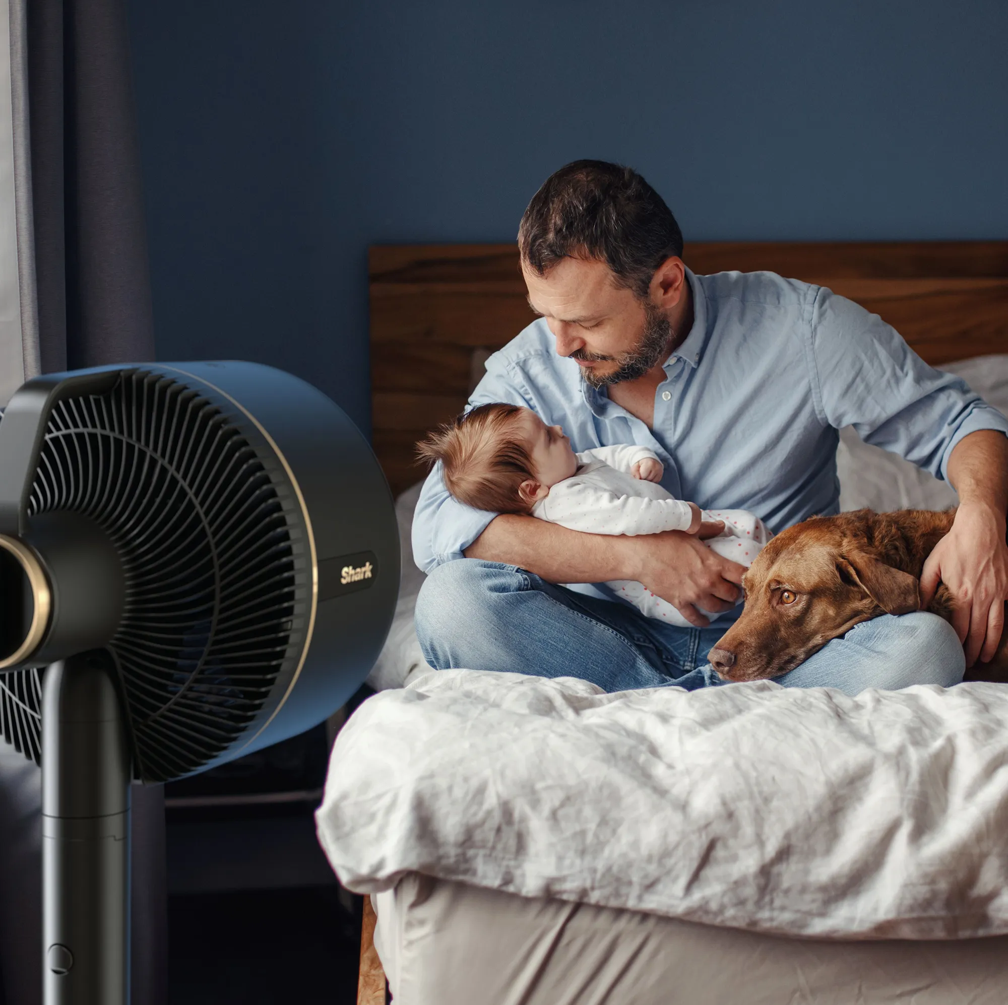 Shark FlexBreeze Fan - Image 10