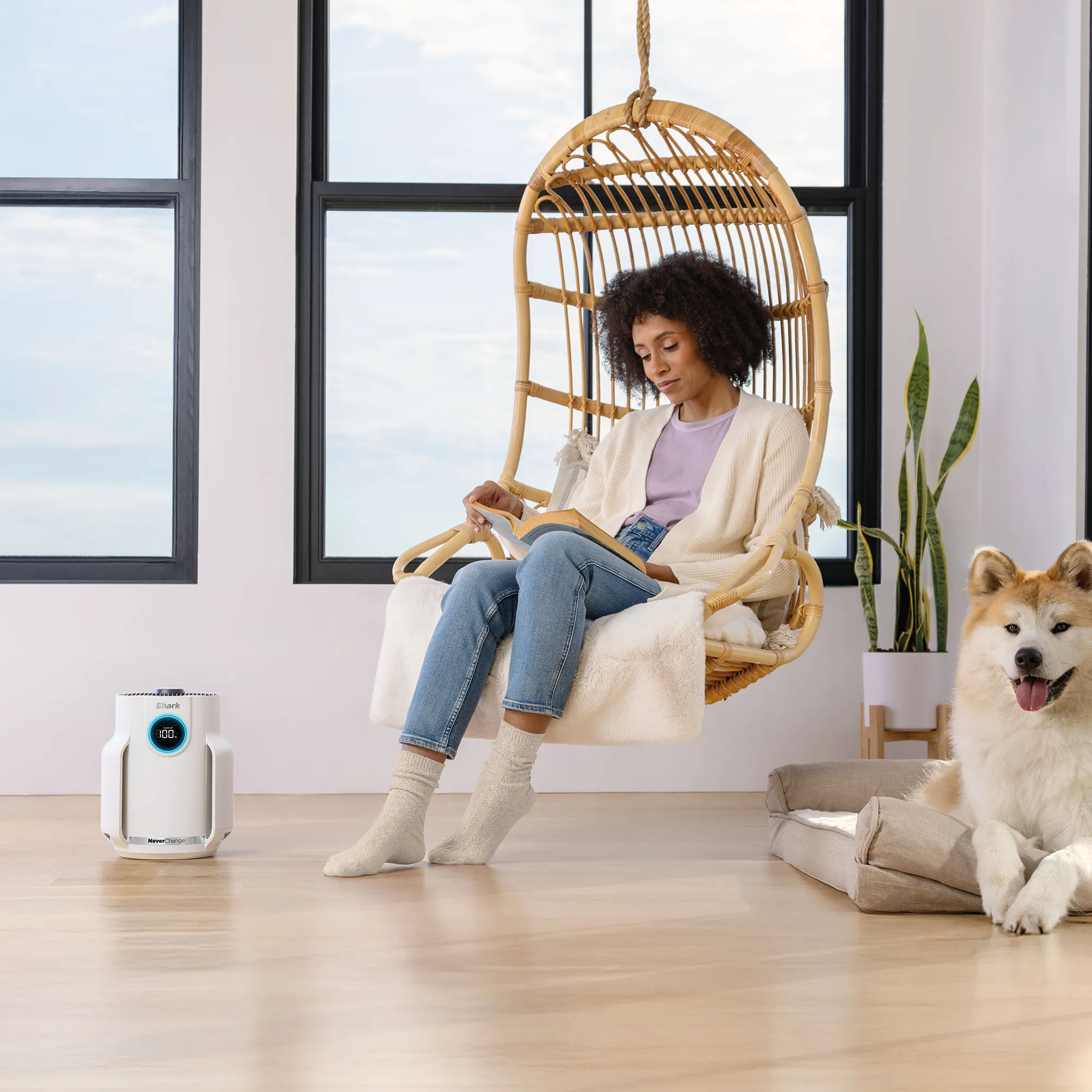 Shark NeverChange Air Purifier Compact Pro - Image 15