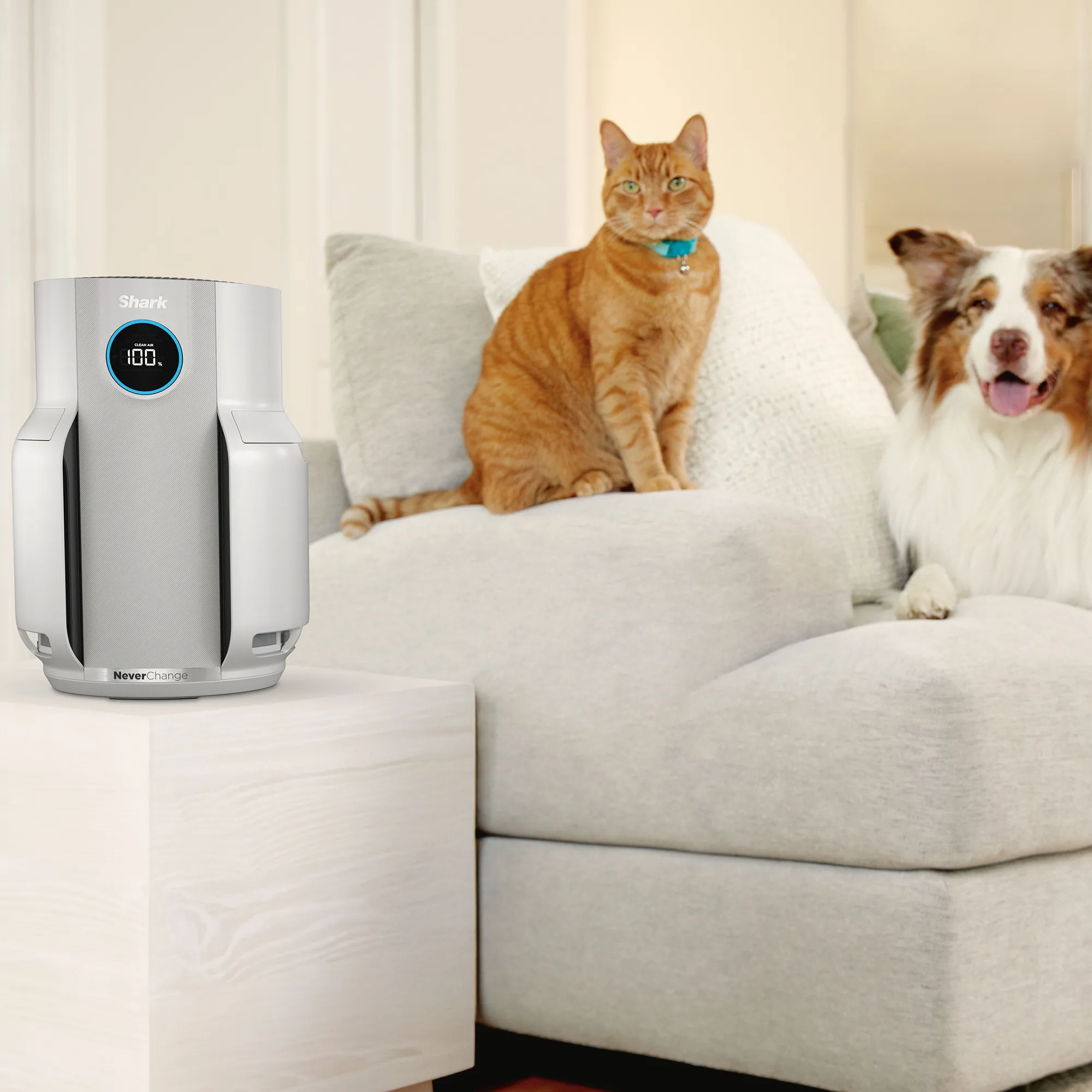 Shark NeverChange5 Air Purifier - Image 7