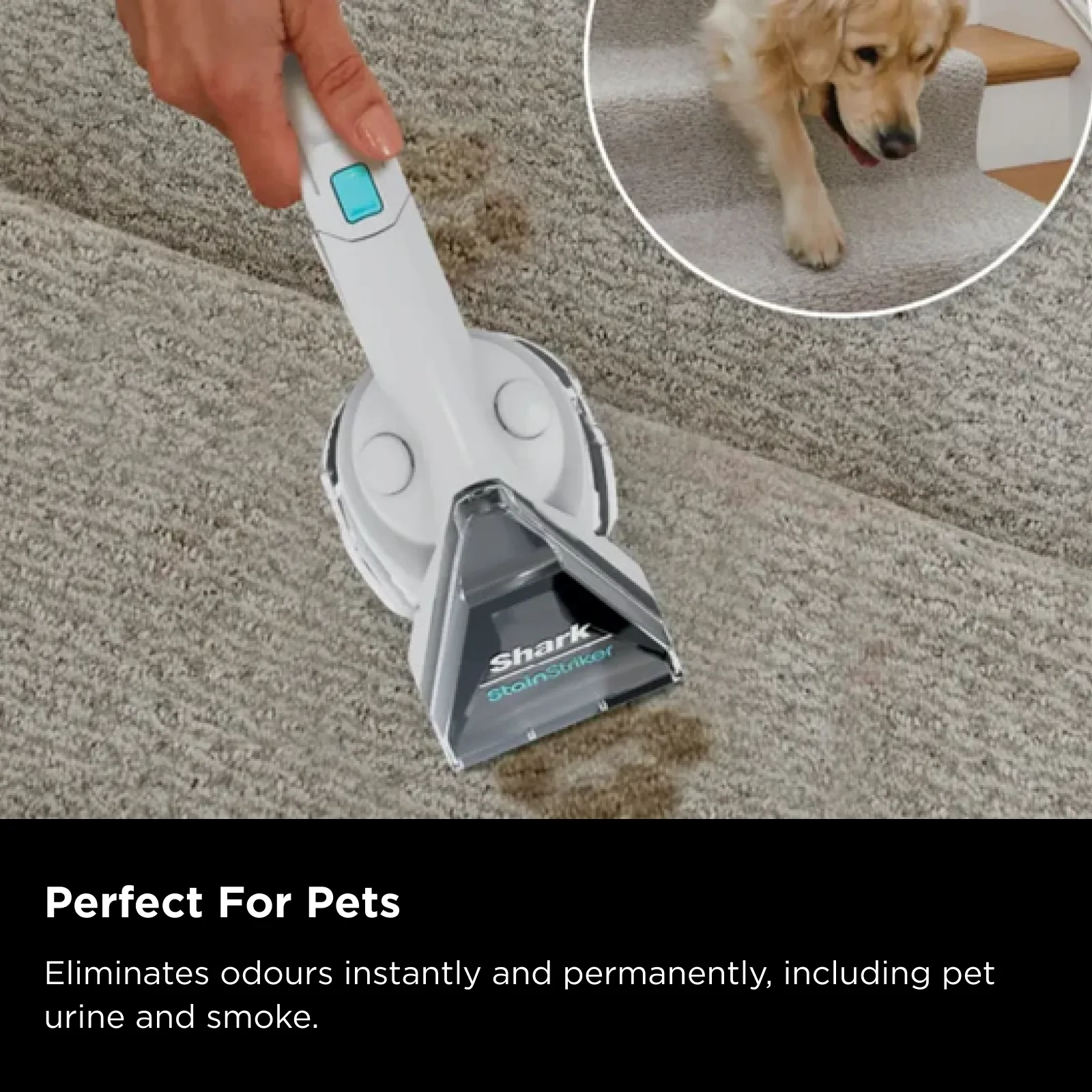 Shark StainStriker Portable Carpet & Upholstery Cleaner - Image 4